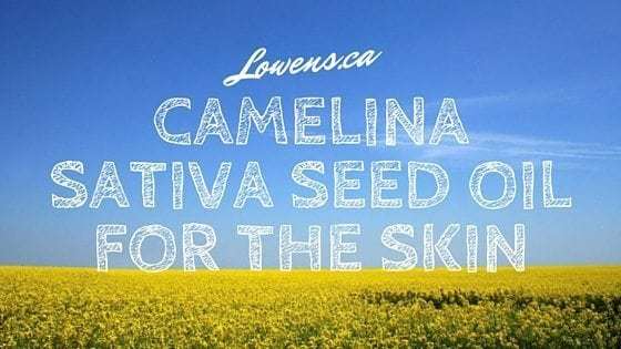 CAMELINA SATIVA SEED OIL FOR THE SKIN - Blog Post by Lowen's Natural Skin Care LOWENS.CA #canadiangreenbeauty #naturalskincare