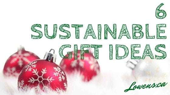 6 Sustainable Gift Ideas BLOG POST by Lowen's Natural Skin Care LOWENS.CA #canadiangreenbeauty #naturalskincare