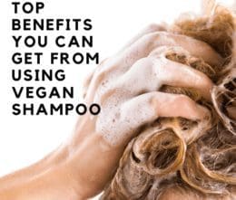 Our guide to Vegan Natural Shampoo